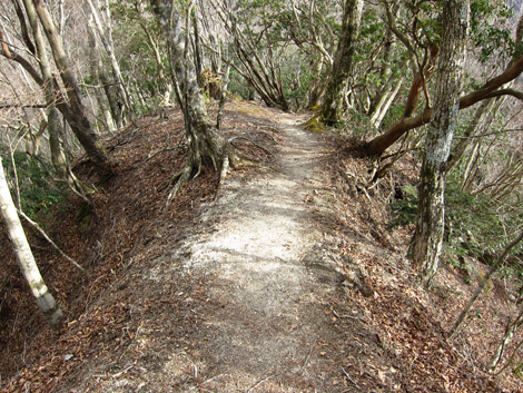 20200110hike (255)